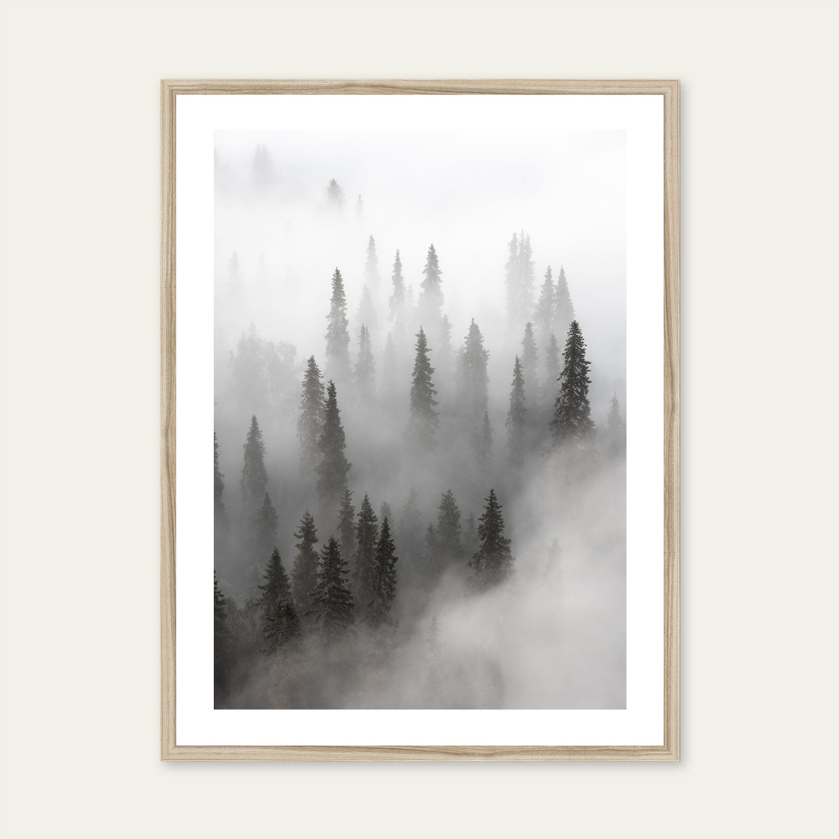 A framed print of a forest veiled in fog