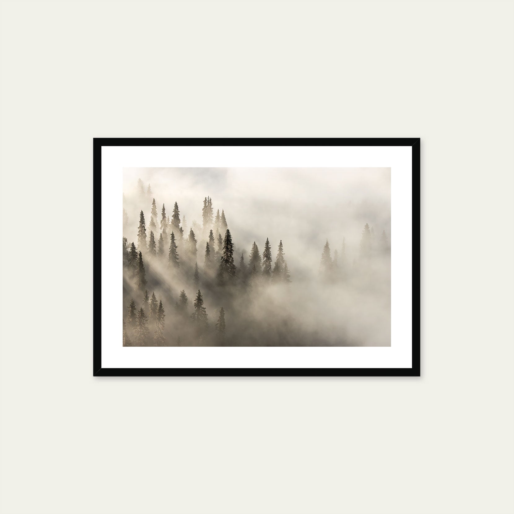 A black framed print of a fog covered forest at dawn