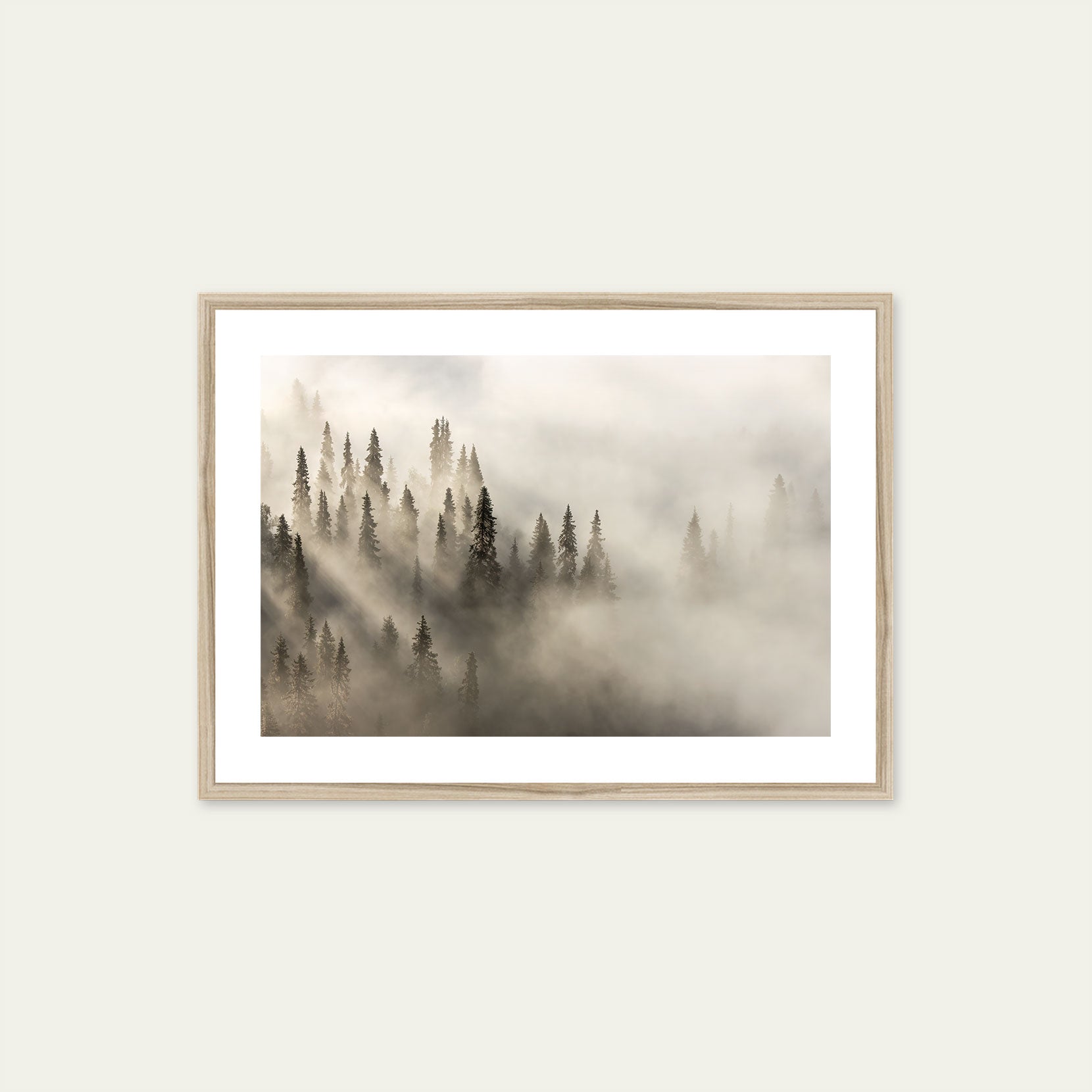 A wood framed print of a fog covered forest at dawn