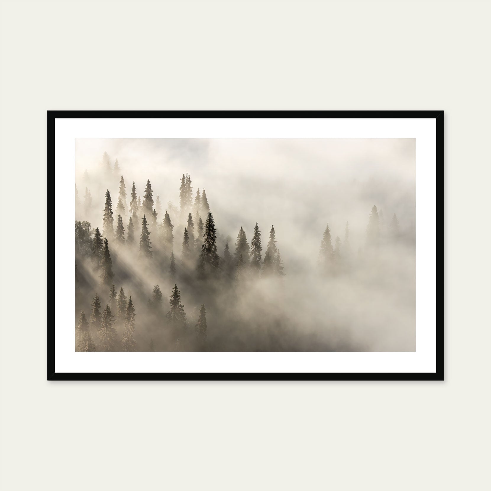 A black framed print of a fog covered forest at dawn
