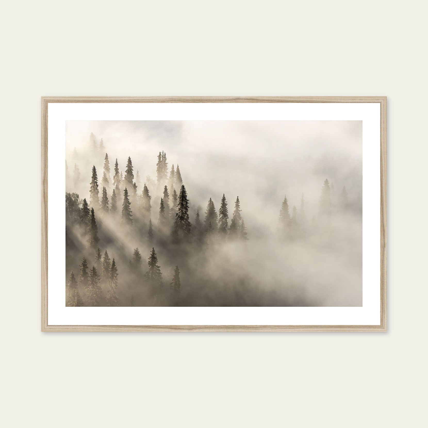 A wood framed print of a fog covered forest at dawn