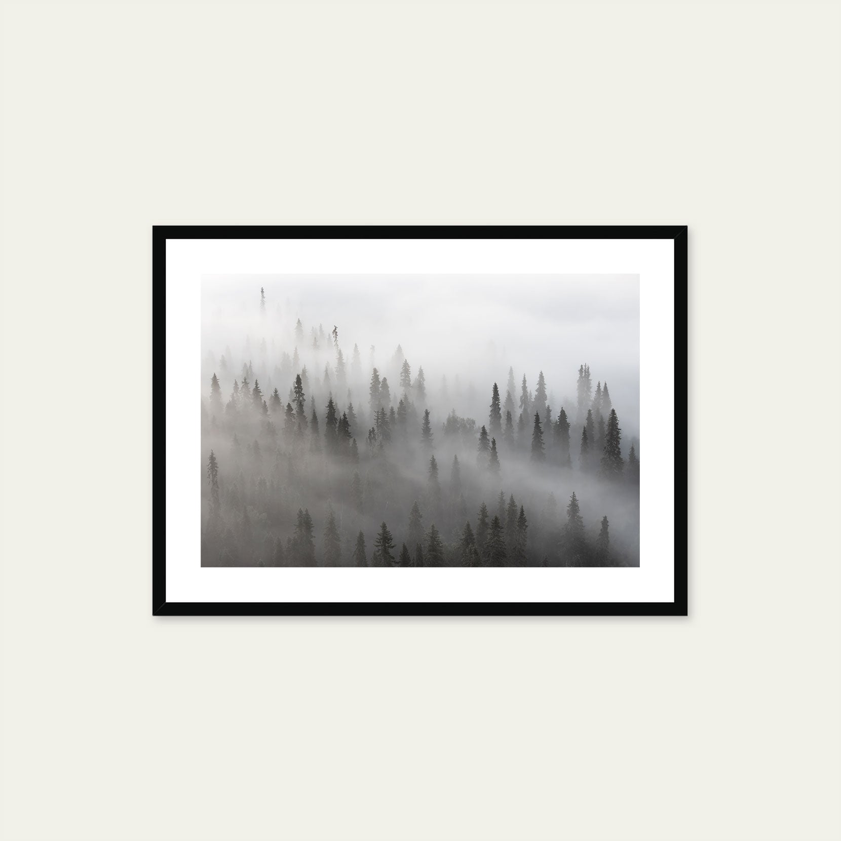 A black framed print of a forest with lingering fog