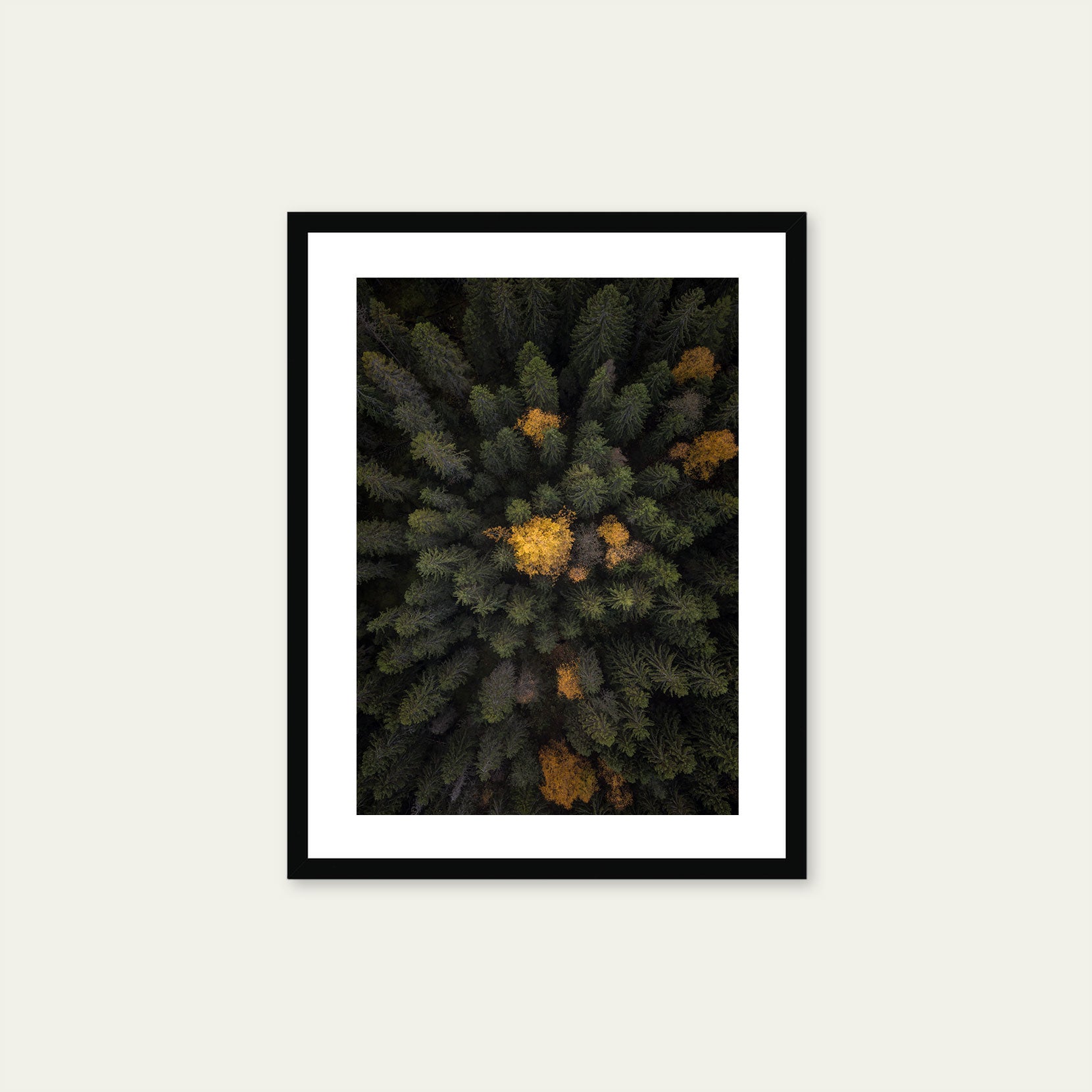 A black framed print of a forest from above