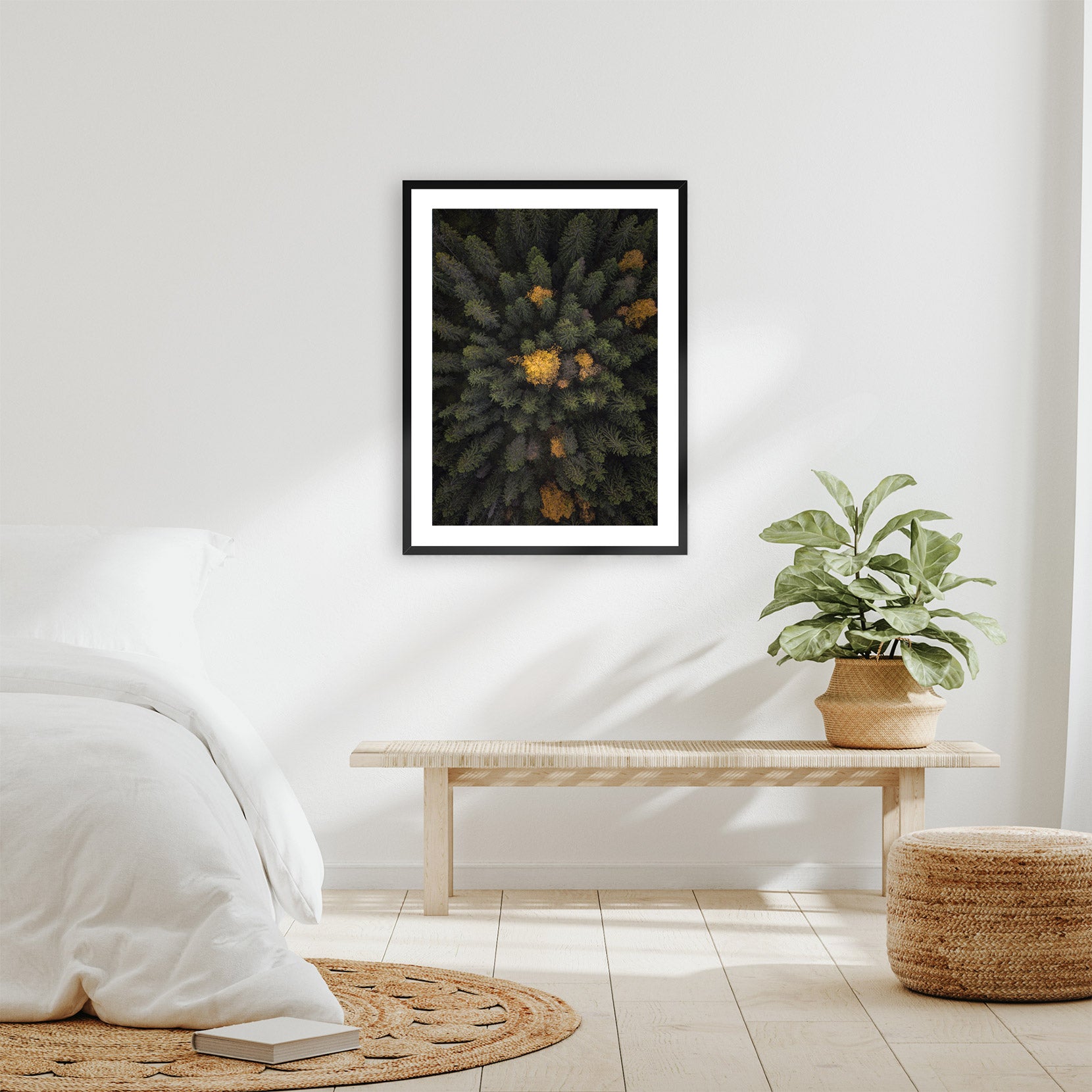 A framed print of a forest from above