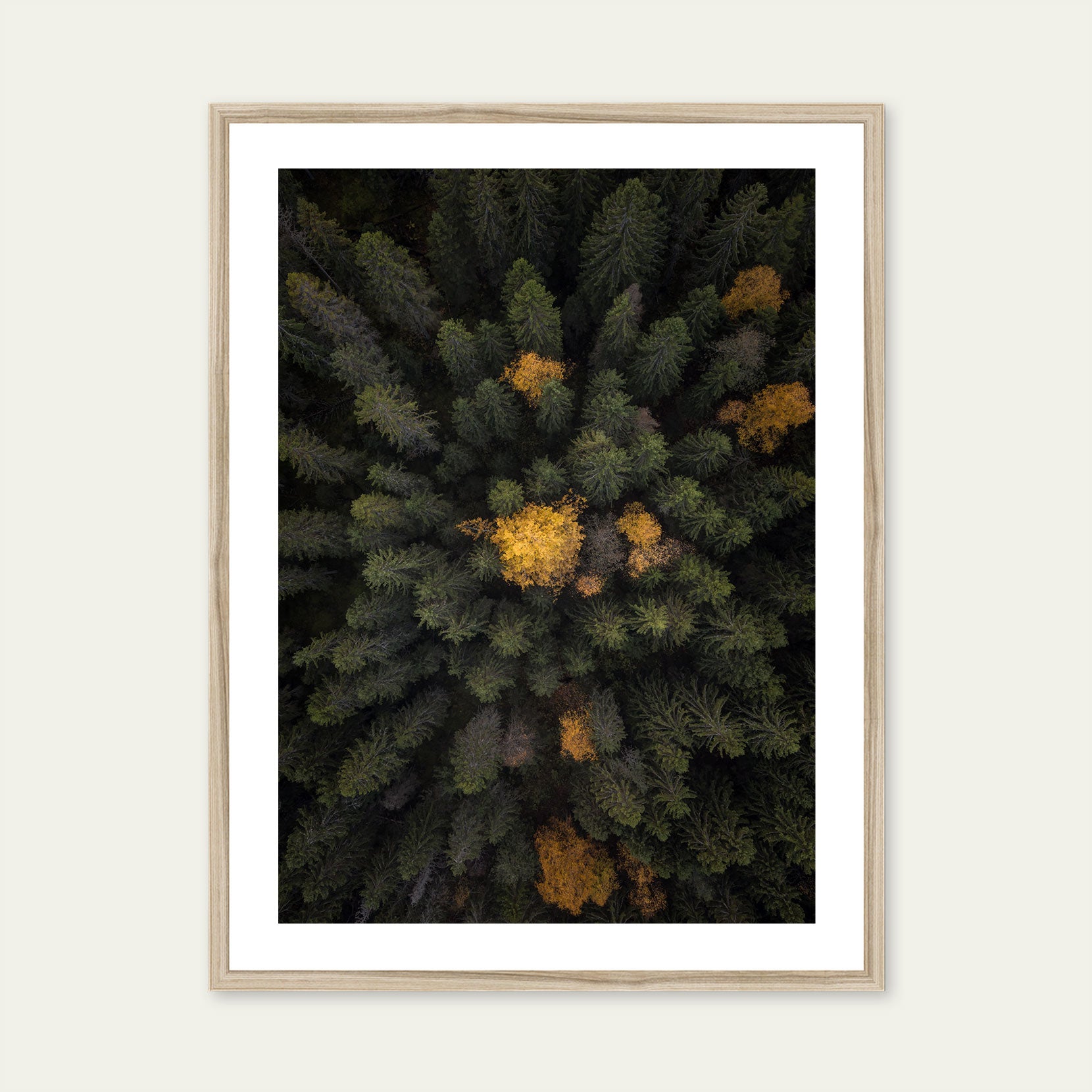 A wood framed print of a forest from above