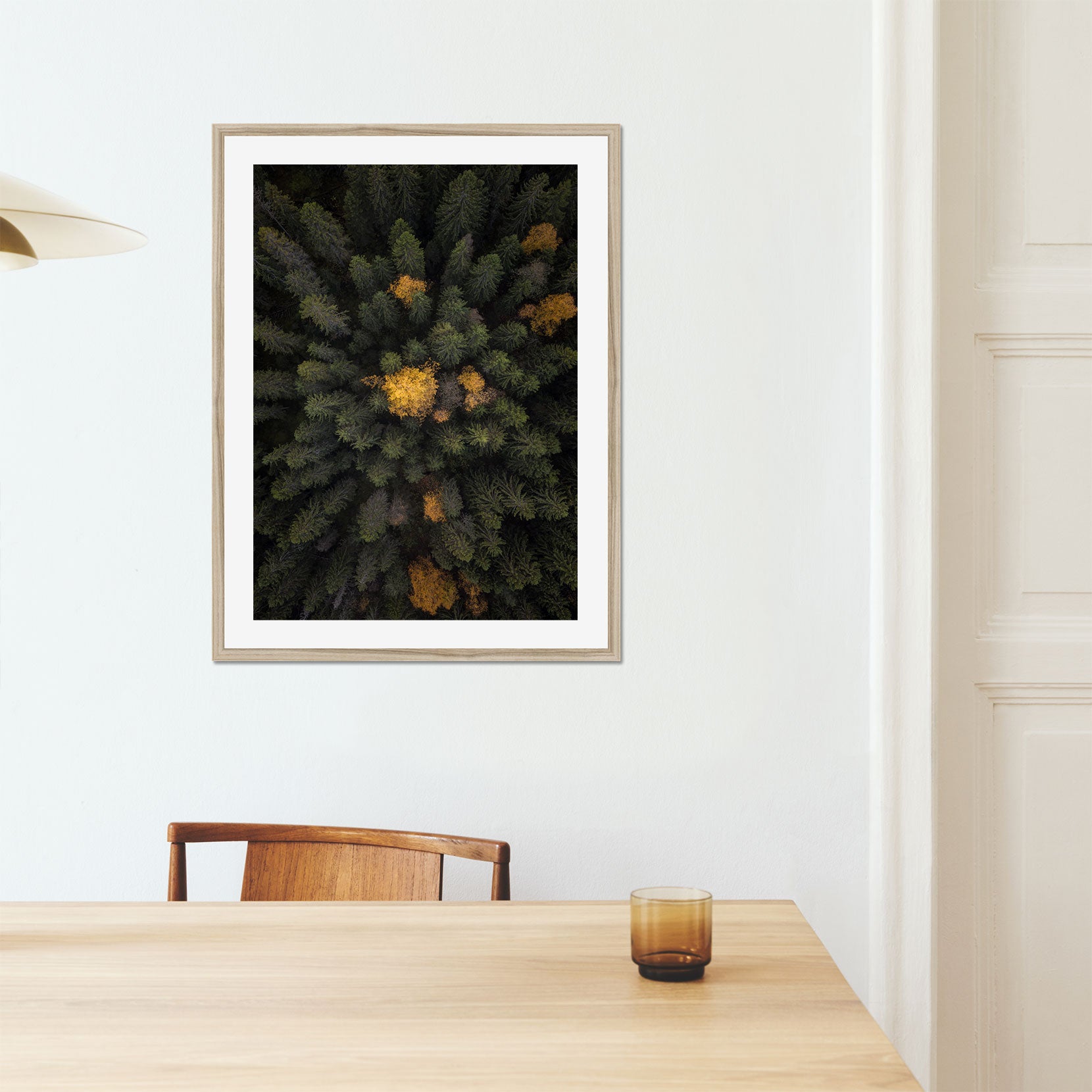 A framed print of a forest from above