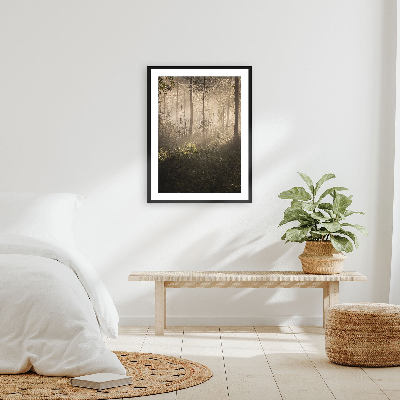 A framed print of a dawn in the forest