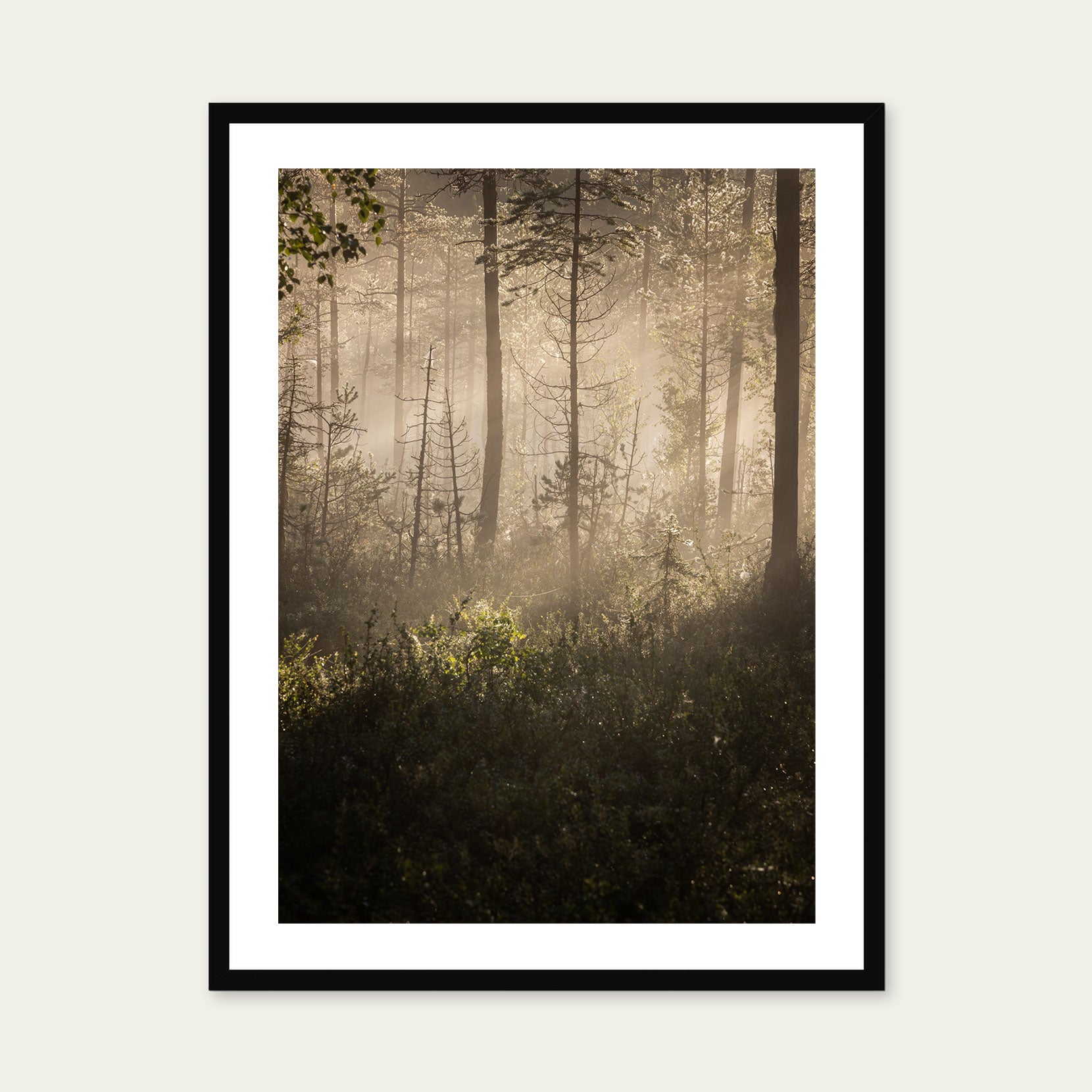 A black framed print of a dawn in the forest