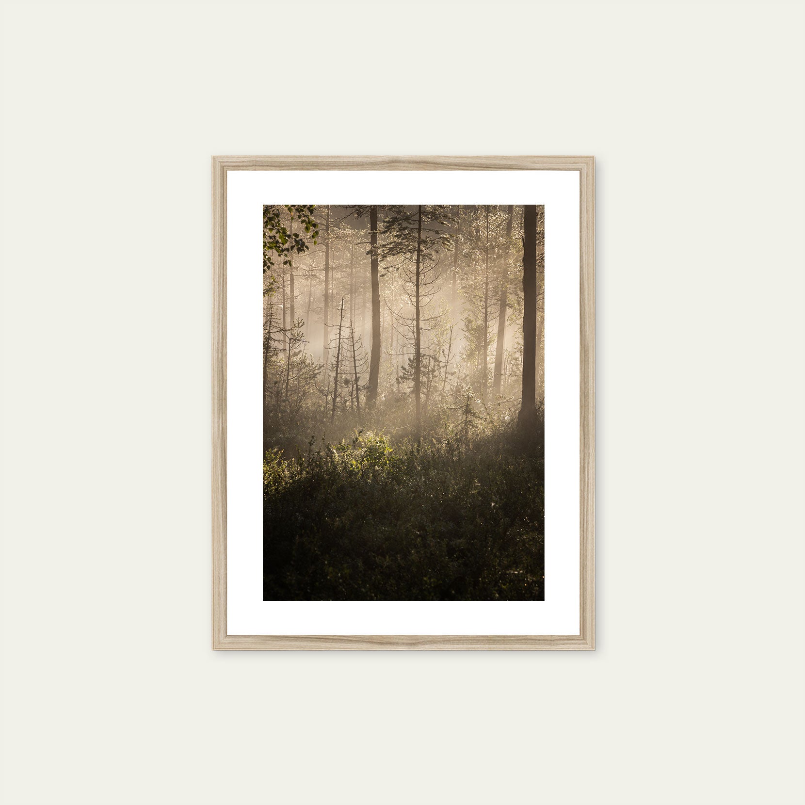 A wood framed print of a dawn in the forest