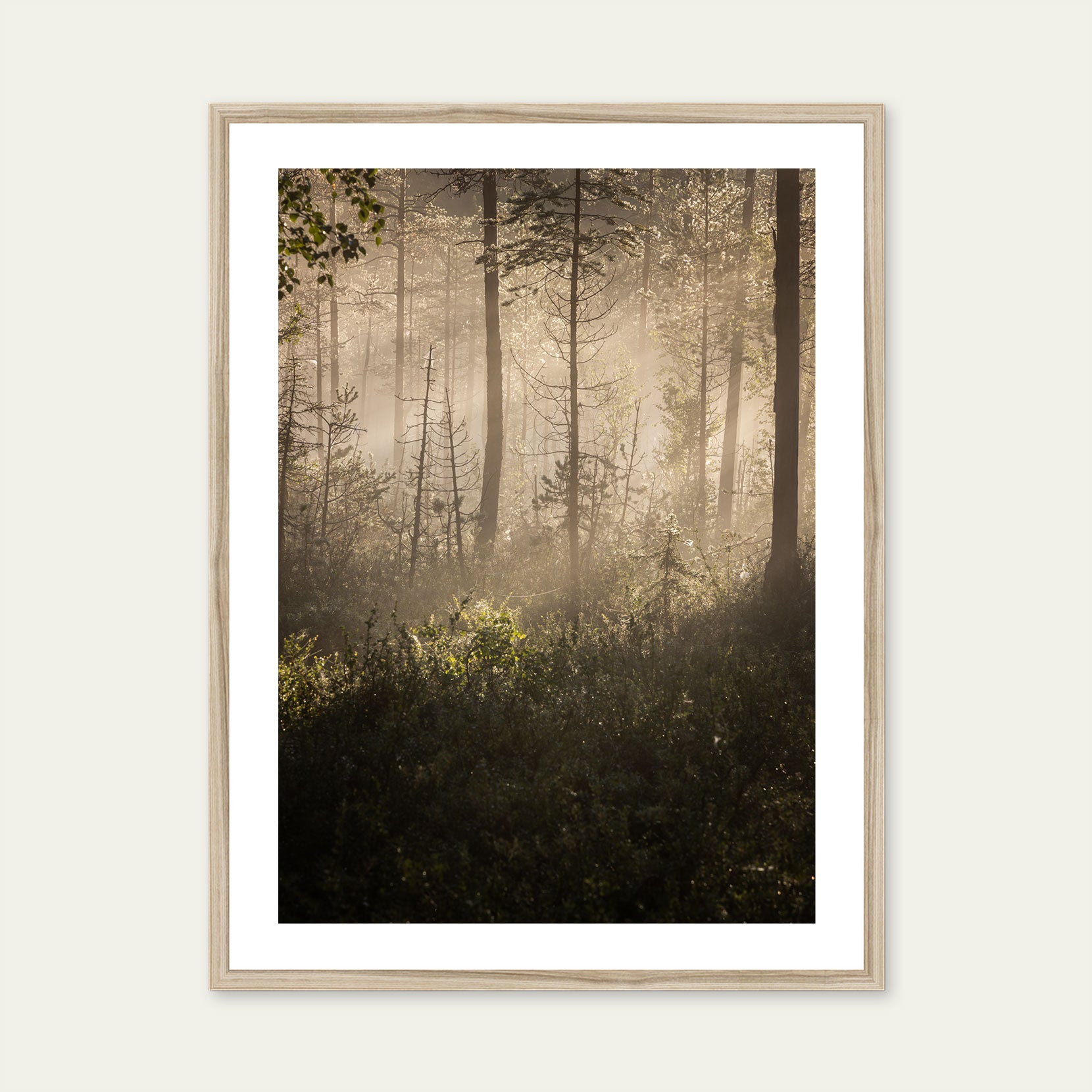 A wood framed print of a dawn in the forest